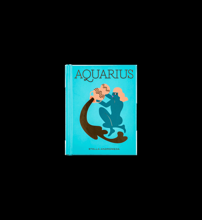 anna nina Zodiac Book by Stella Andromeda Aquarius