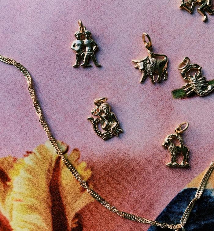 Anna Nina Zodiac Charm 14K Aquarius