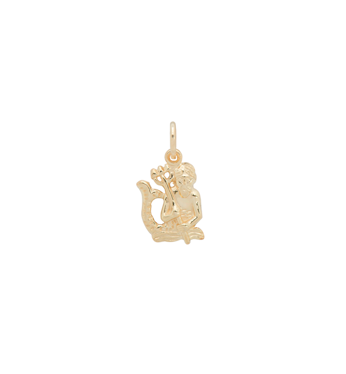 anna nina Zodiac Charm 14K Aquarius