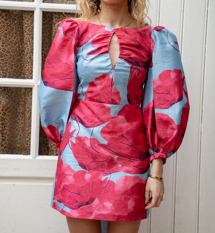 Anna Nina Laagam Liza Fleur Poppy Dress Multicolour