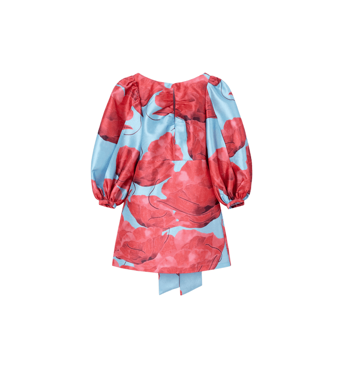 anna nina Laagam Liza Fleur Poppy Dress Multicolour