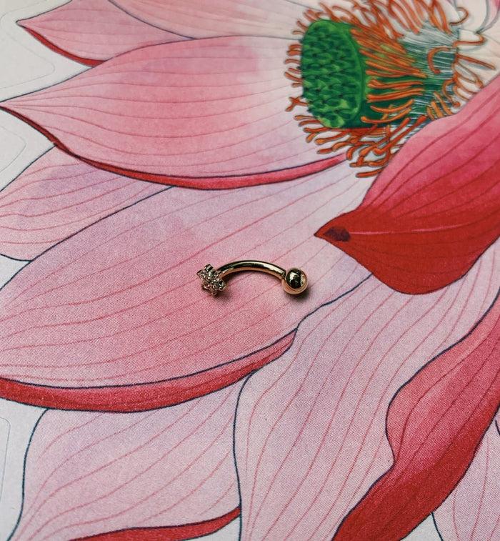 Anna Nina Maria Tash Zirconia Flower Ball Navel Piercing 14K