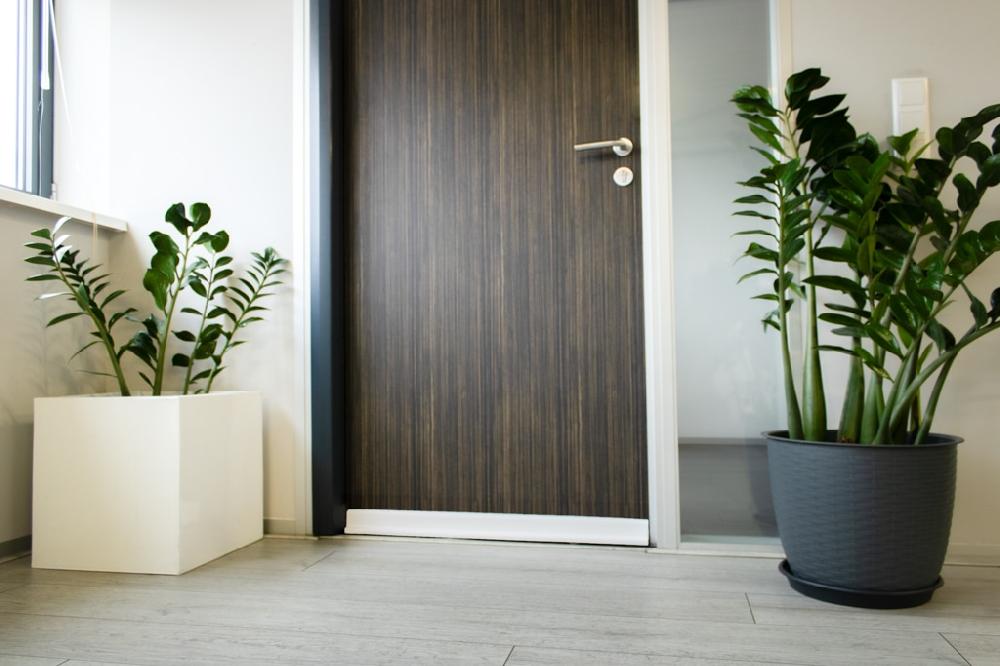 arte viva Door Toe Protection