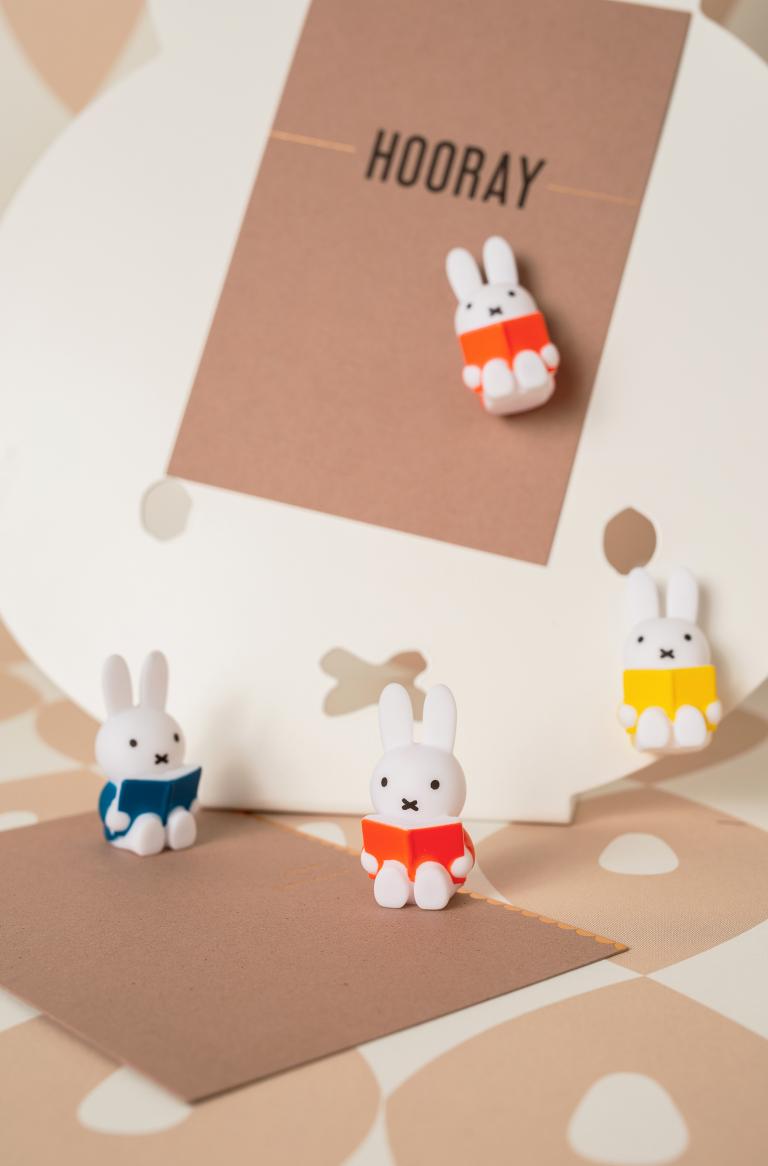 atelier pierre nijntje leest