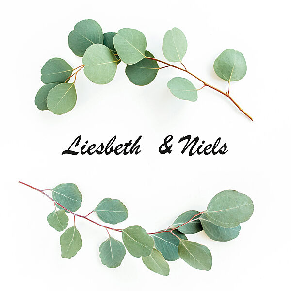 ava Bedrukte Servetten Eucalyptuskrans 9 Stuks