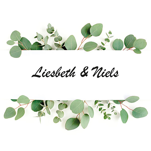 ava Bedrukte Servetten Eucalyptustakken 9 Stuks