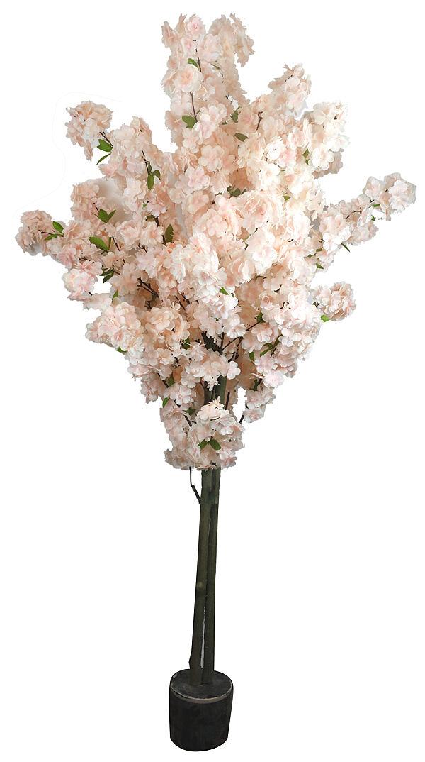 ava Bloesemboom 160cm