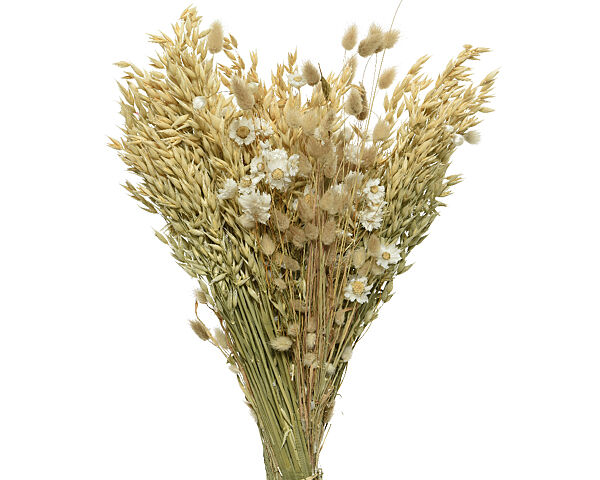 ava Boeket Droogbloemen Wit 55cm