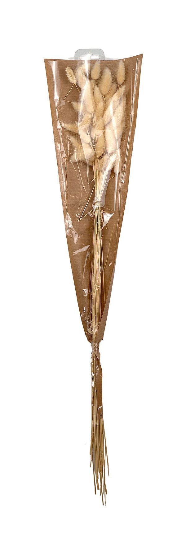 ava Droogbloemen Lagurus Naturel 65cm