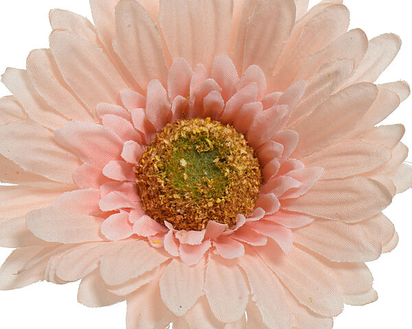 Ava Gerbera H 50cm Perzik Ø 10cm