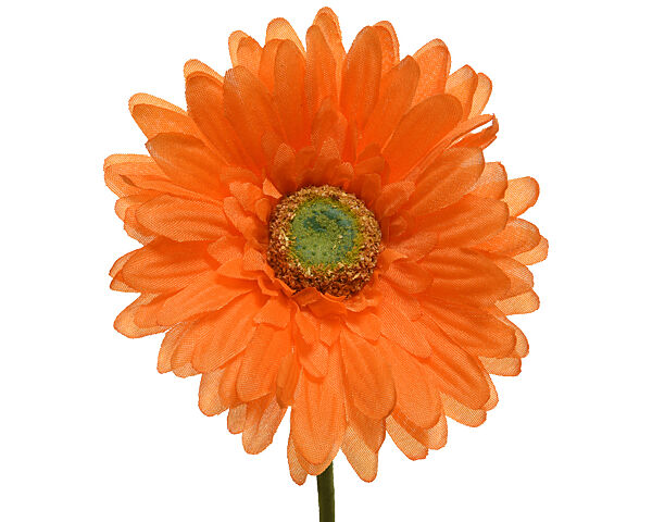 ava Gerbera Op Steel Oranje H 50cm Ø 10cm