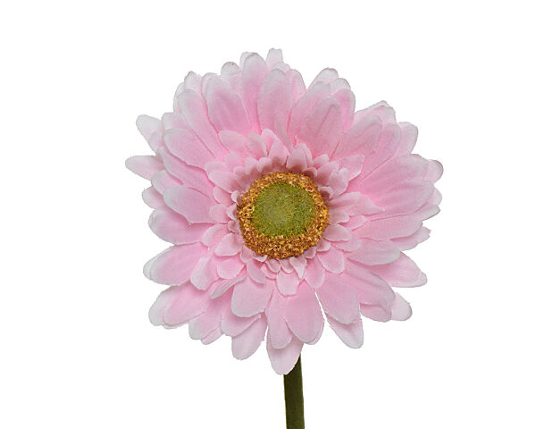 ava Gerbera Roze H 50cm Ø 10cm