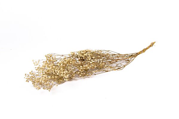 ava Gypsopholia Naturel 35g