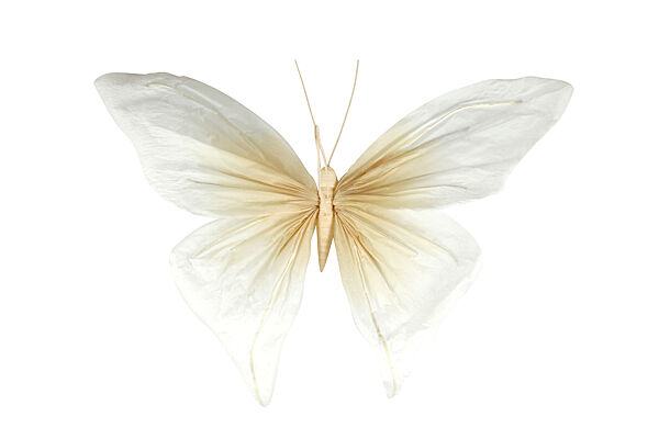 ava Hanger Vlinder Nude Papier 49x42x3cm