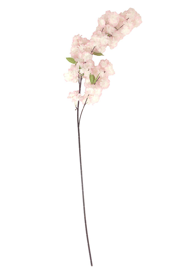 ava Kersenbloesem Tak Roze 1m