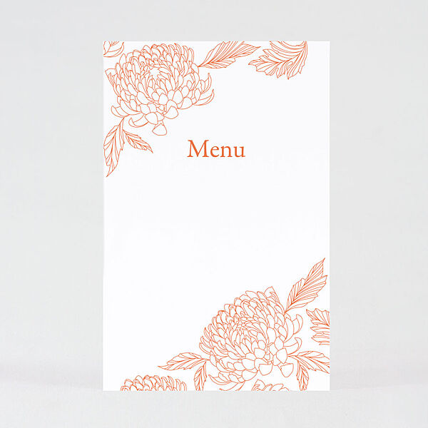 ava menukaart Apricot