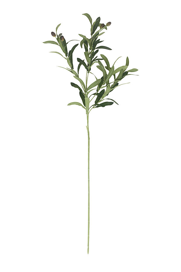 ava Olijftak Groen 95cm