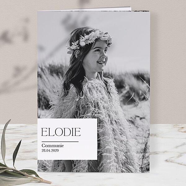 ava Originele communie uitnodiging poster