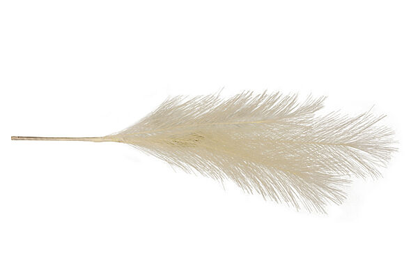 ava Pampasgras Ecru 40cm