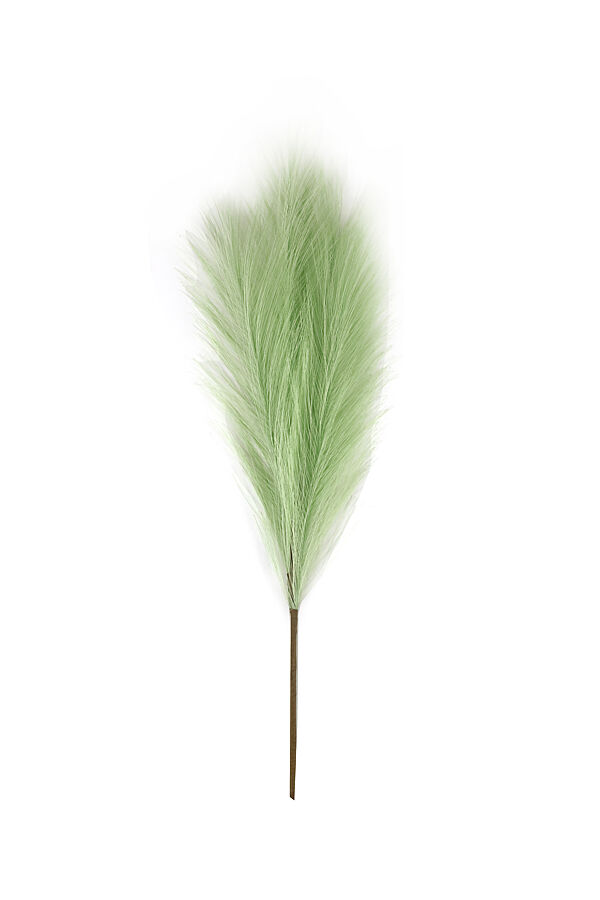 ava Pampasgras Saliegroen 40cm