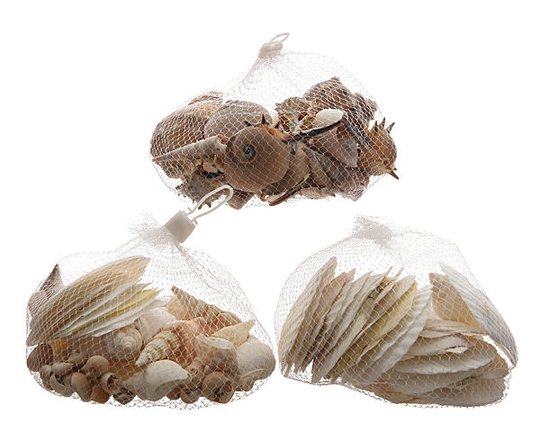 ava Schelpen Mix 16cm 350g 1 Van De 3