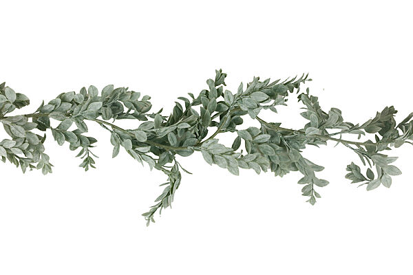 ava Slinger Ruscus Groen 1 8m