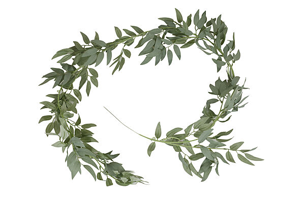 ava Slinger Wilgenbladeren 200cm Groen