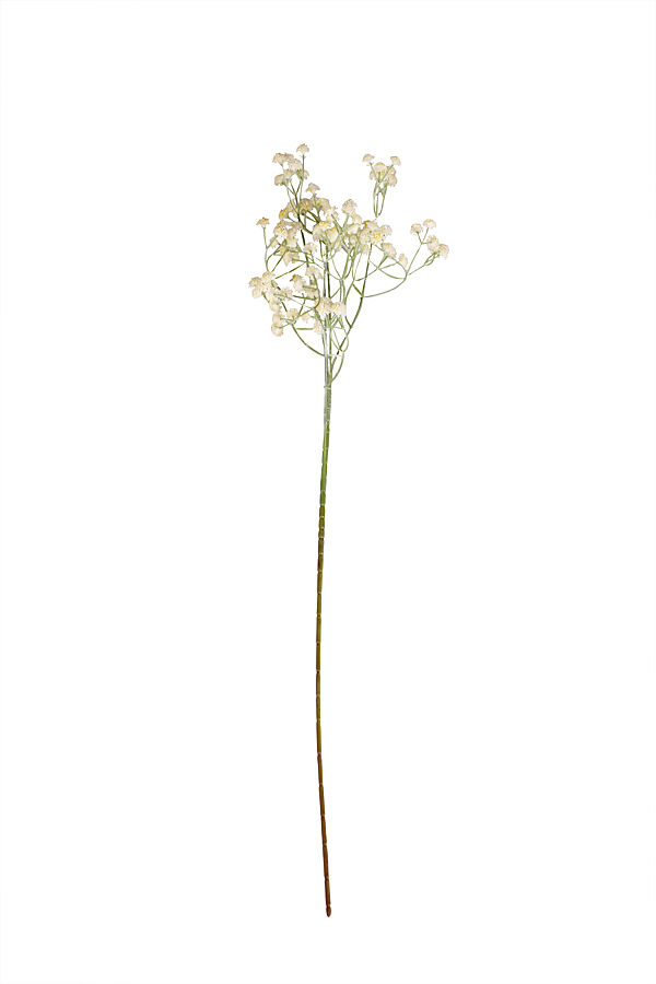 ava Tak Met Bloemen Wit 60cm