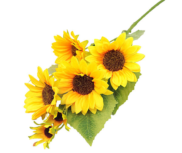 Ava Tak Met Zonnebloemen Groen 7 Bloemen 73cm