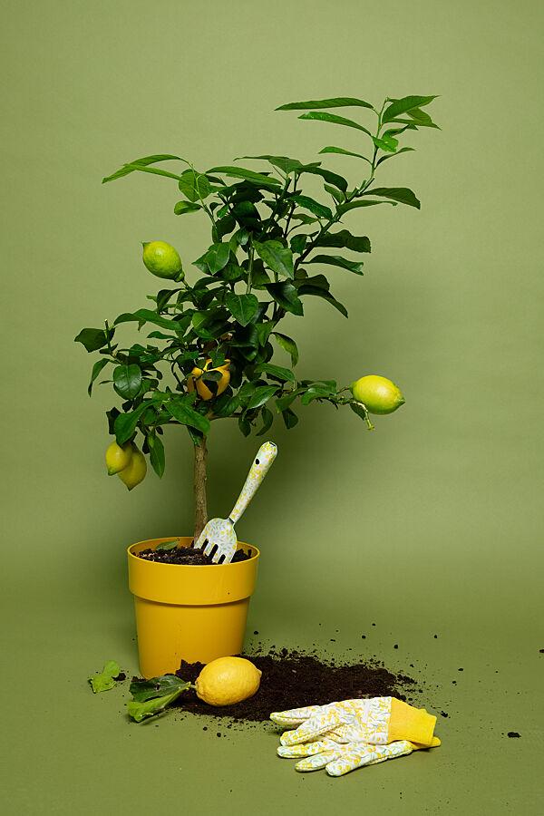 Ava Tuingereedschapsset Bloemenprint Geel