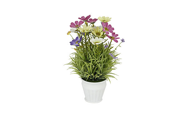 ava Veldbloempjes In Pot Roze/Wit/Geel 29cm