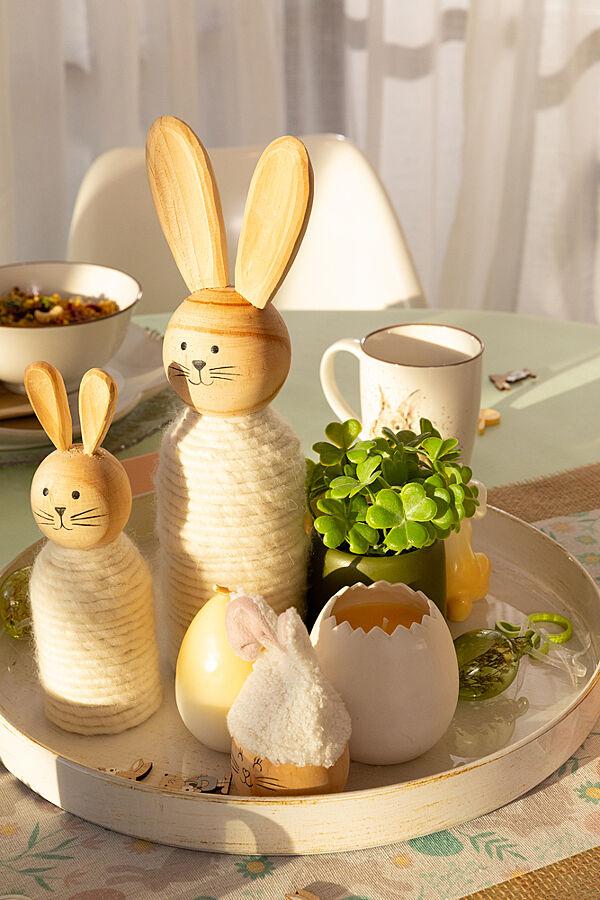 Ava Vetplant In Pot Groen H 13cm Ø 7cm 1 Van De 2