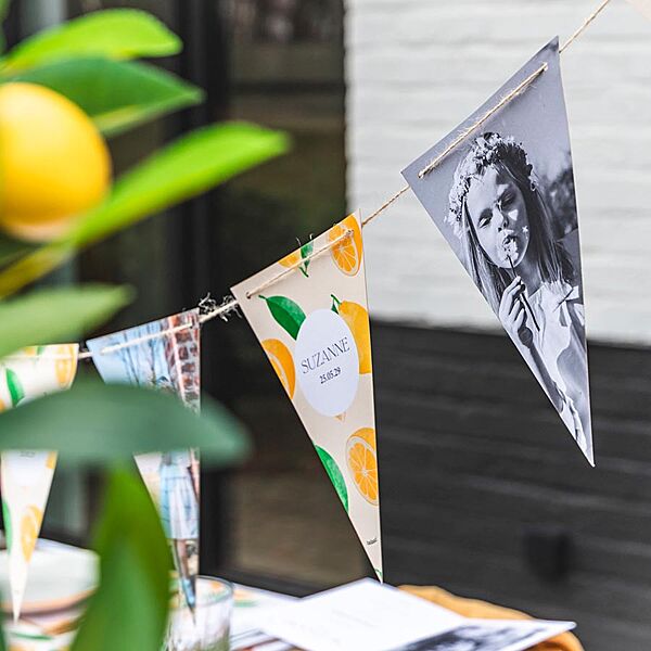 Ava Vlaggenlijn Met Citroenen En Foto's