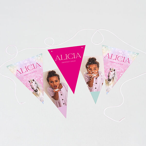 Ava Vlaggenlijn Met Unicorn En Dégradé