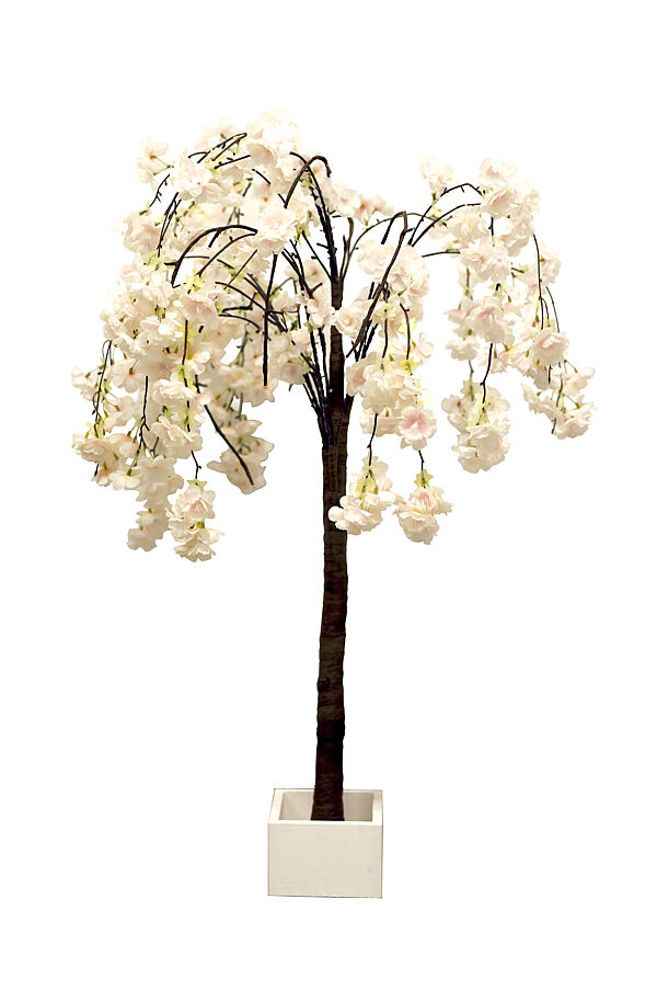 ava Boom Met Bloesems Indoor Wit 30 Leds Warmwit H 90cm