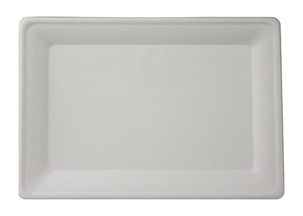 ava Bord Suikerriet Rechthoekig 28x20cm Wit 40 Stuks