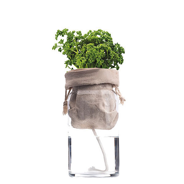 Ava Kweekset Kruiden Basilicum / Peterselie / Bieslook 1 Van De 3