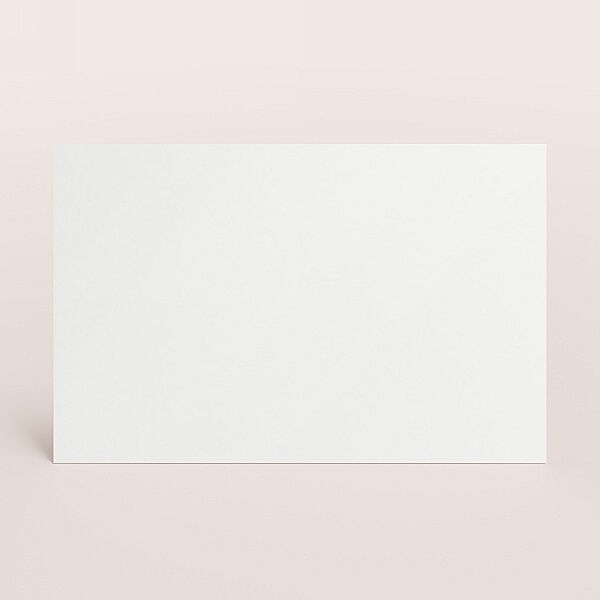 Ava Liggende Kaart Met Eigen Ontwerp Op Dik Papier (800gr)