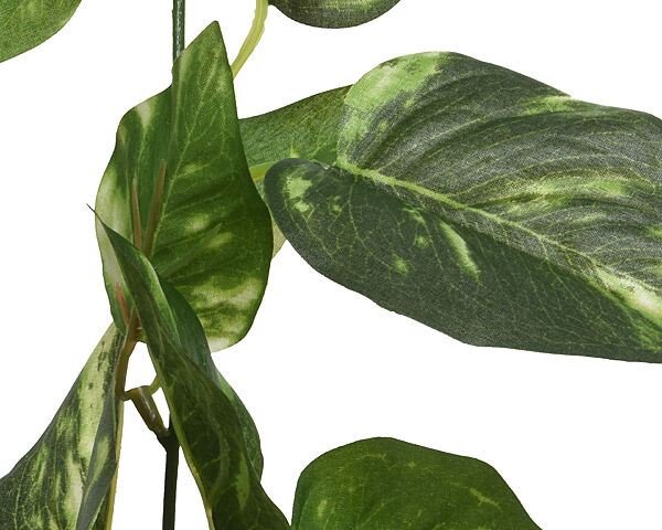 Ava Slinger Met 48 Monsterabladeren Groen 1 8m X 9cm X 20cm