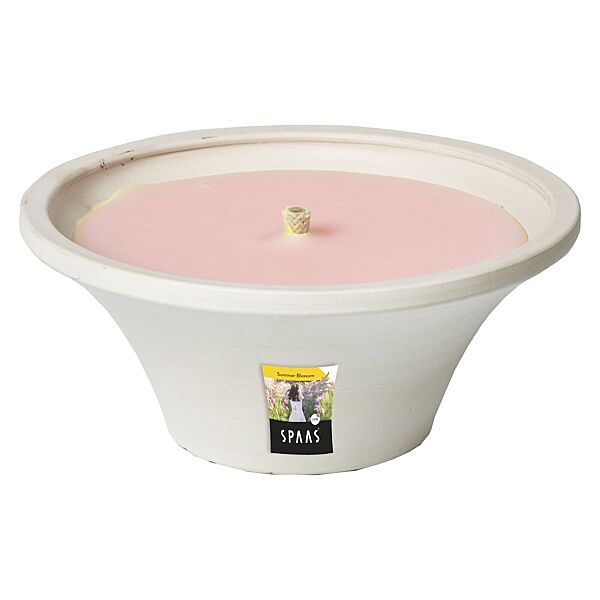 ava Tuinkaars Citronella Witte Terracotta + Roze Vulling H 7 5cm Ø 18cm 9u