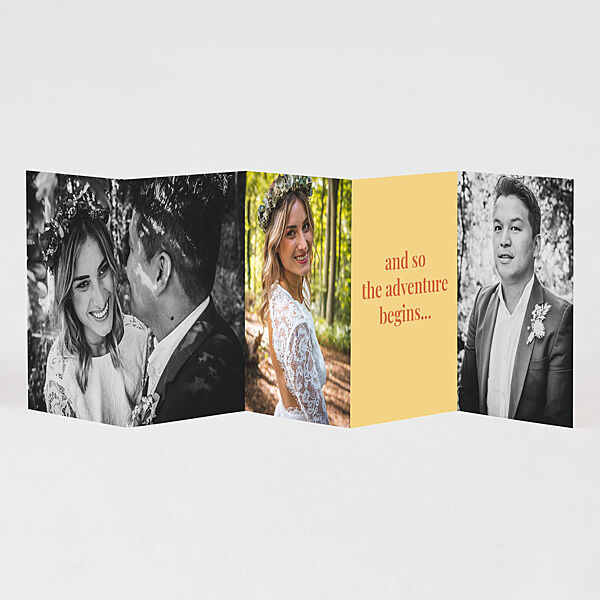 Ava Vijfluik Bedankkaartje Color Blocking Met Foto's