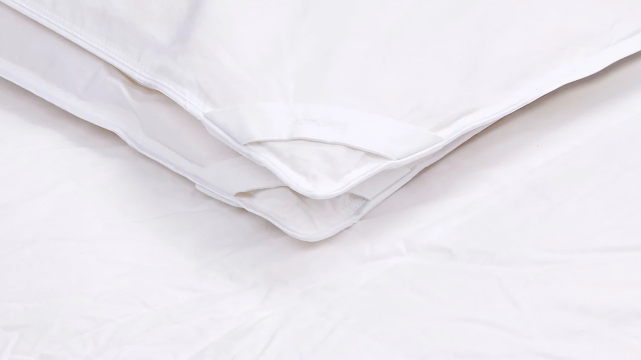 Beter Bed B Bright 4-seizoenen Dekbed 15% Dons