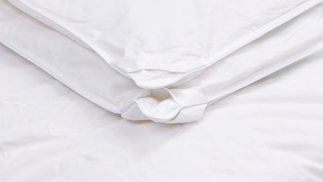 Beter Bed B Bright 4-seizoenen Dekbed 60% Dons