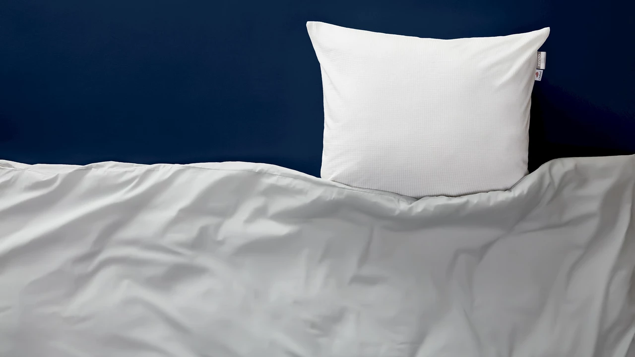 Beter Bed Kussensloop Zenzo