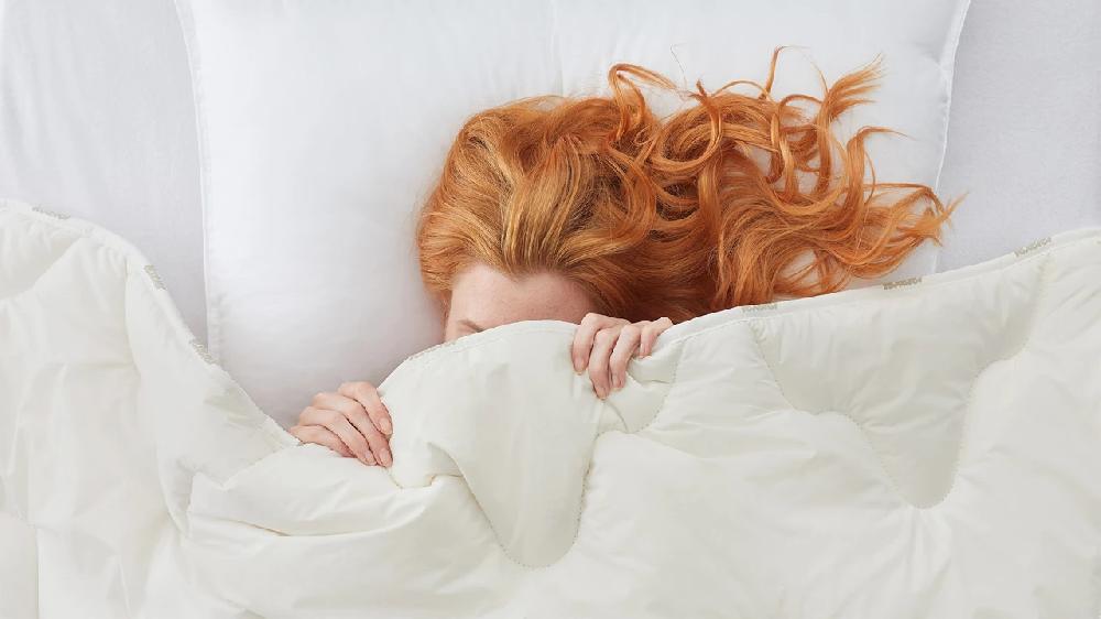 Beter Bed Texeler Multikeus 600 Alle Seizoenen Dekbed Wol