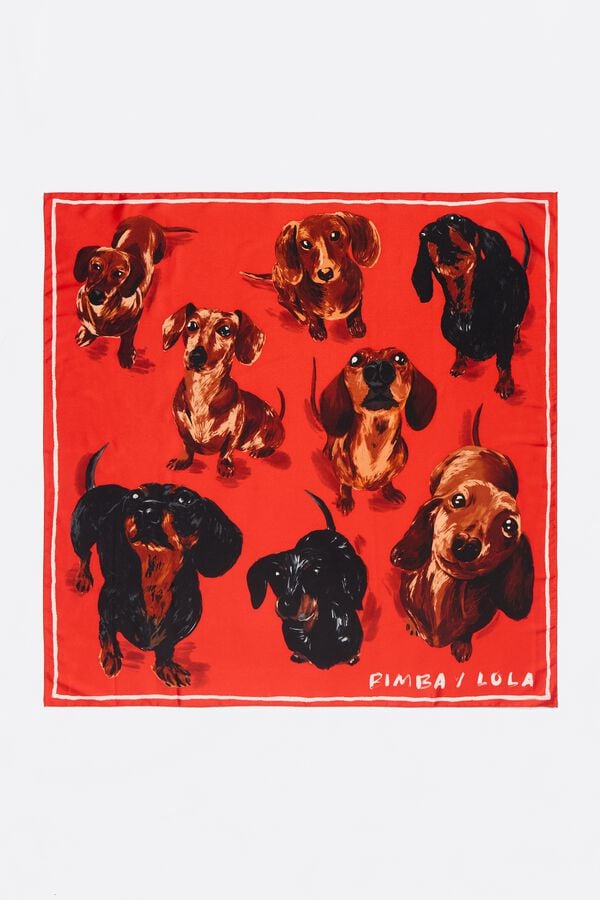 bimba & lola Sjaaltje honden rood