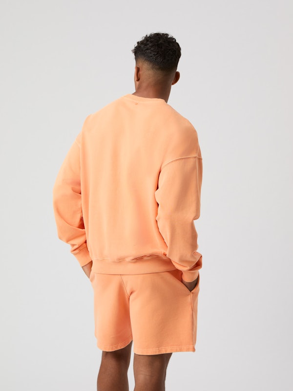 björn borg Borg Oversized Washed Sweatshirt