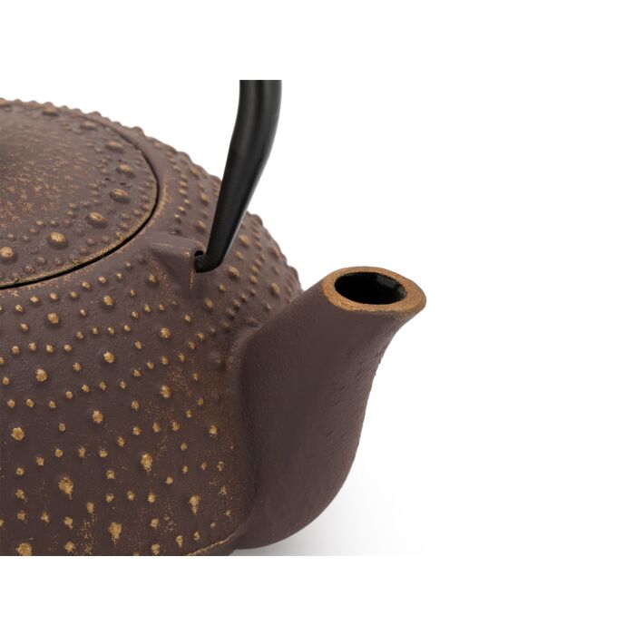 Bredemeijer Teapot Anhui 0.9L Cast Iron Purple