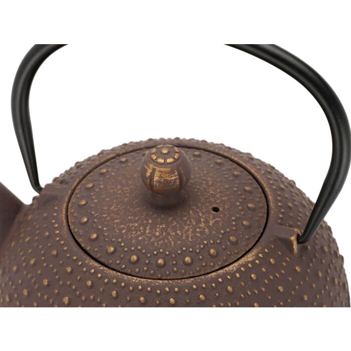 Bredemeijer Teapot Anhui 0.9L Cast Iron Purple