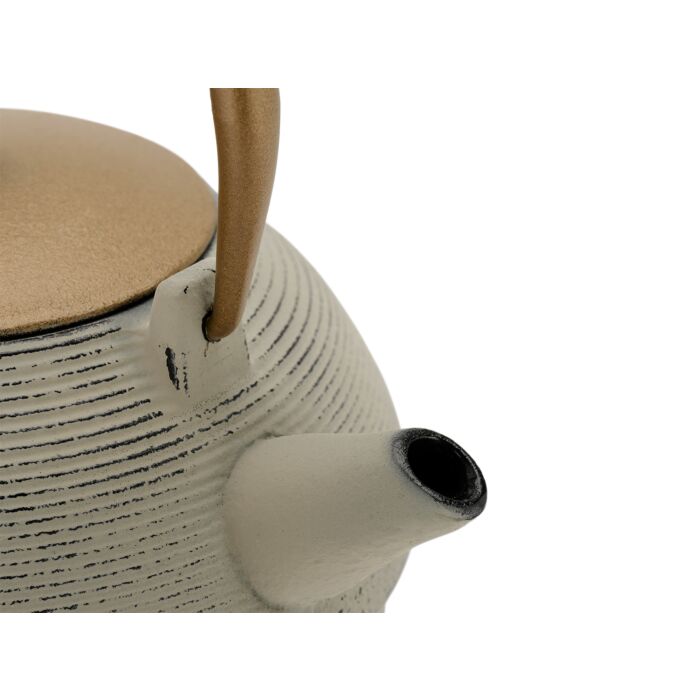Bredemeijer Teapot Sakura 1.2L Cast Iron Grey